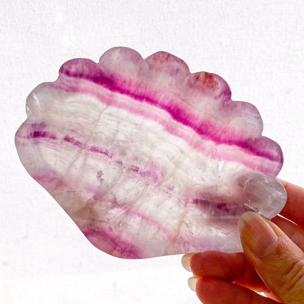 Fluorite crystal polished bowl / trinket tray