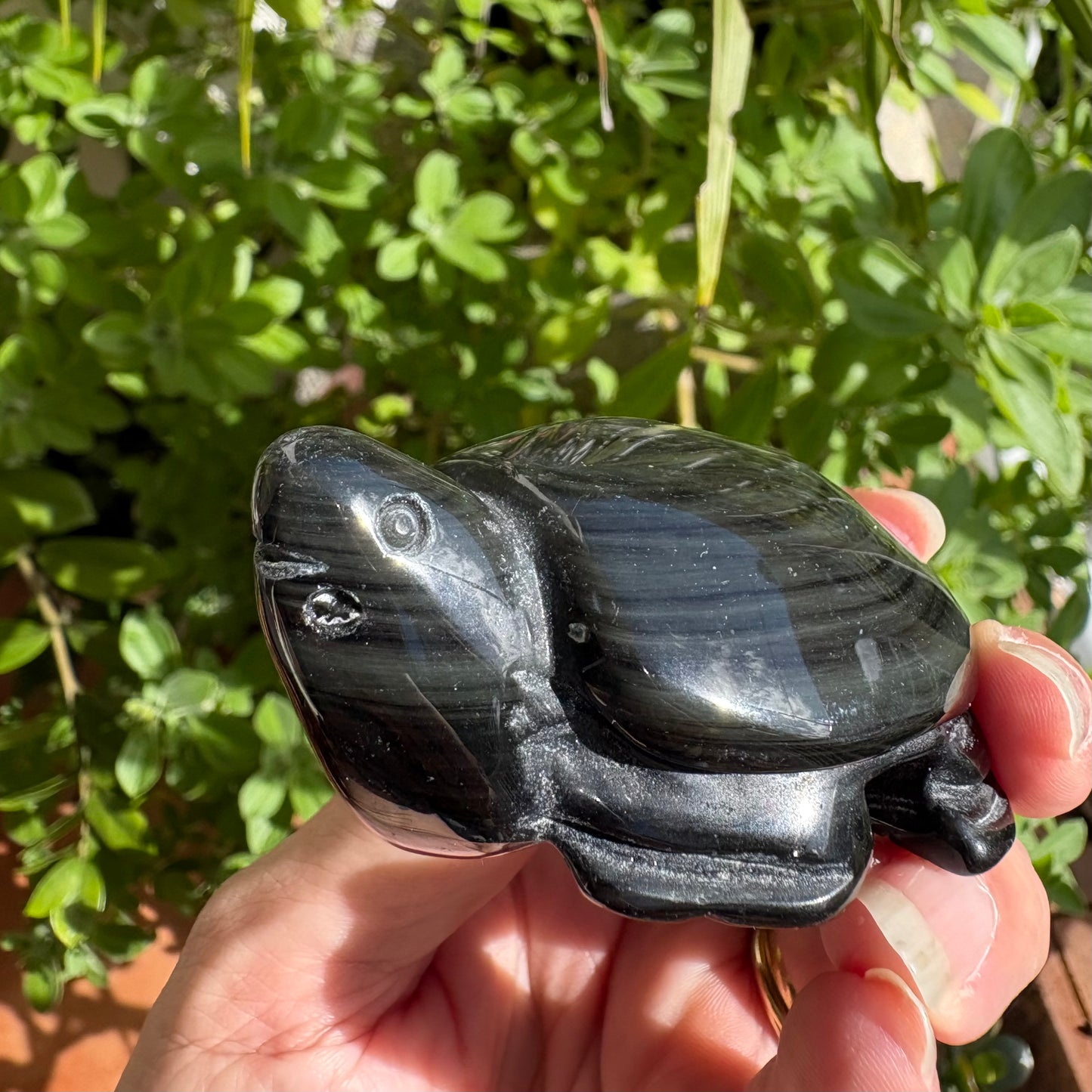Rainbow silver sheen obsidian crystal turtle