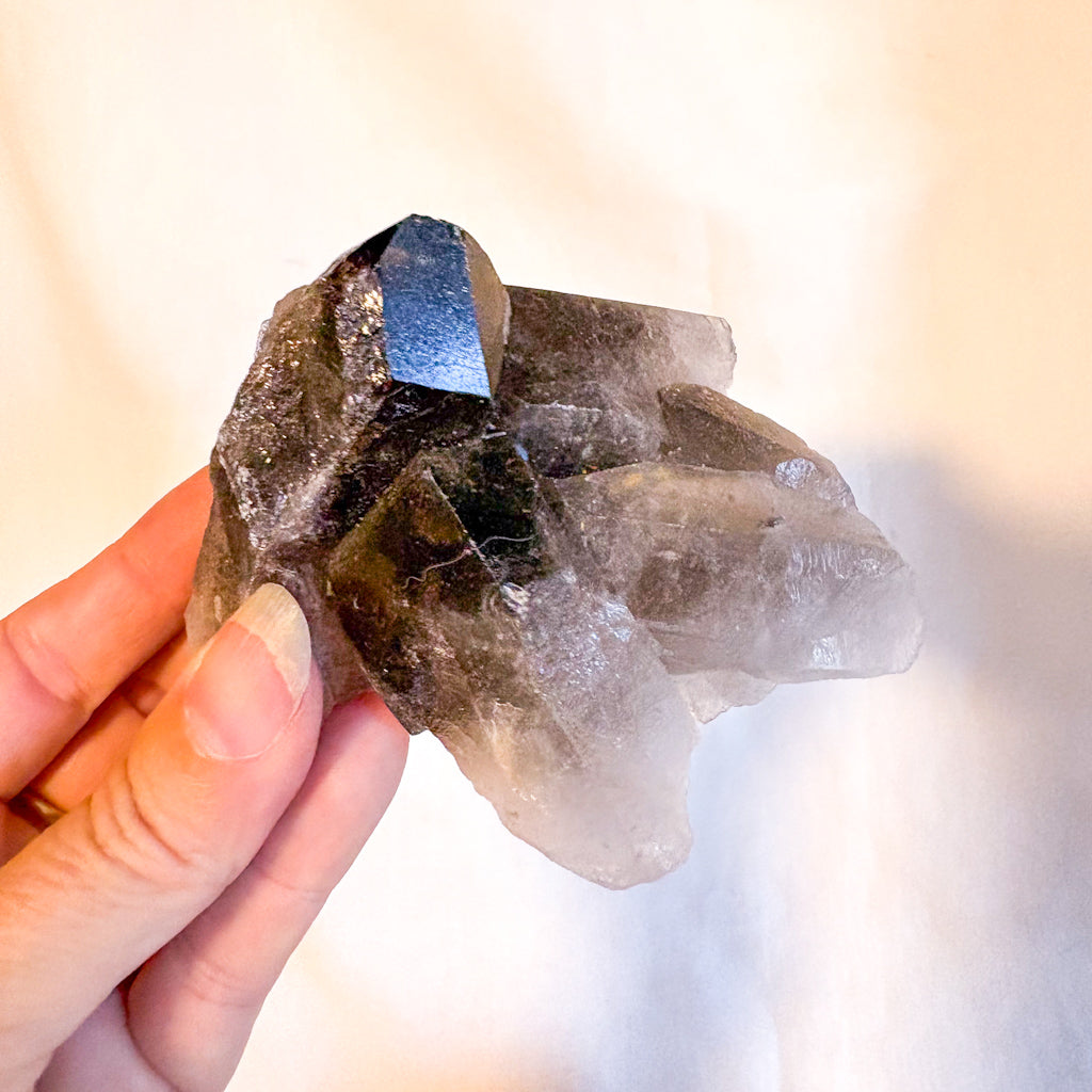 Smoky quartz crystal cluster