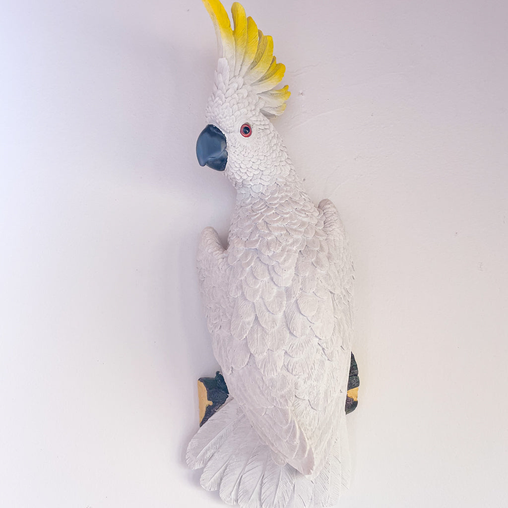Red tail Black cockatoo or Yellow crested cockatoo bird wall hanging