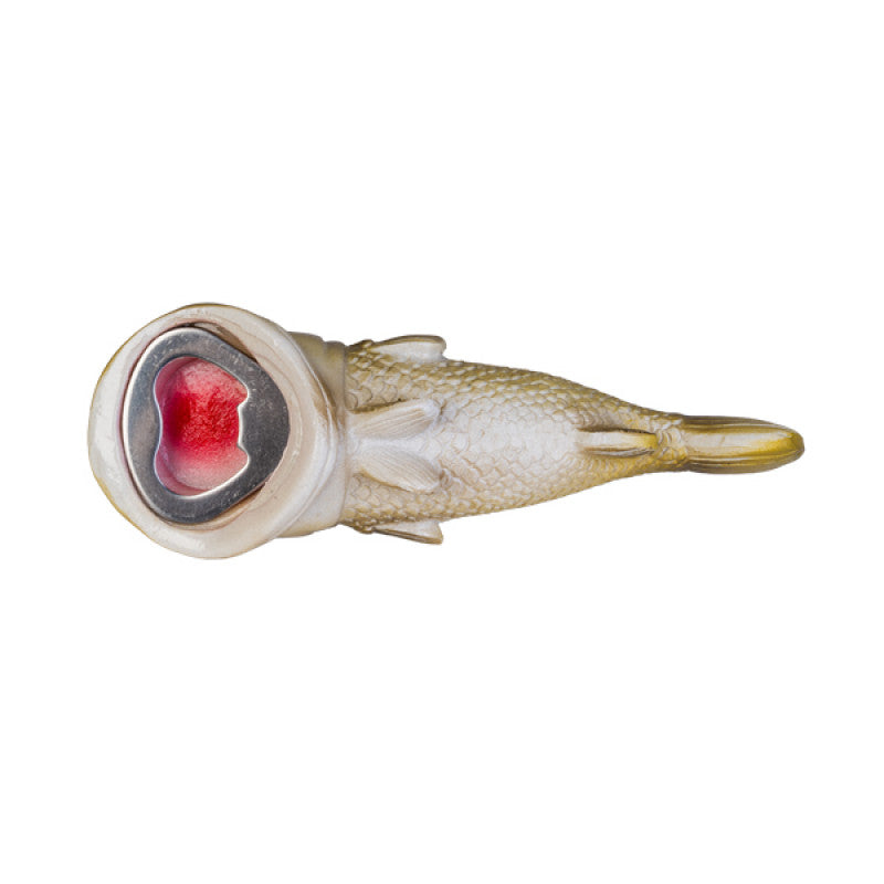 Barra fish novelty bottle opener