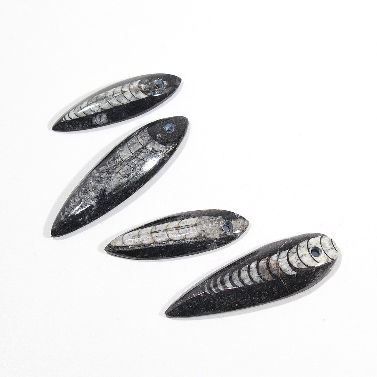 Orthoceras fossil crystal pendant