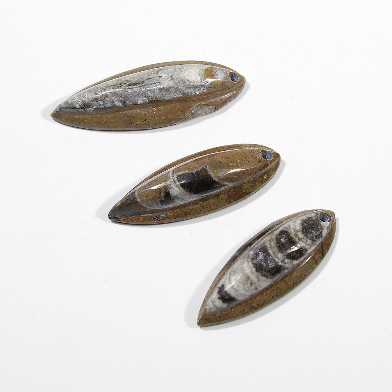 Orthoceras fossil crystal pendant