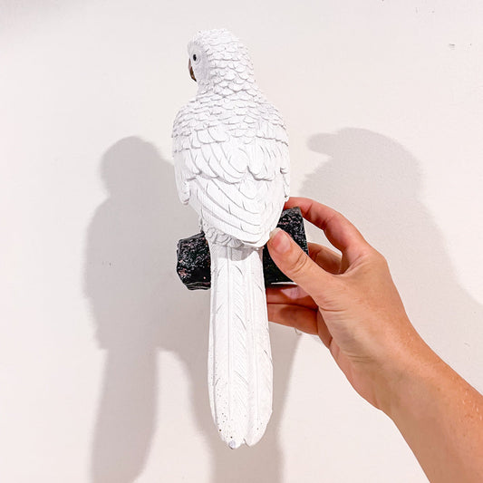 Parrot wall hook