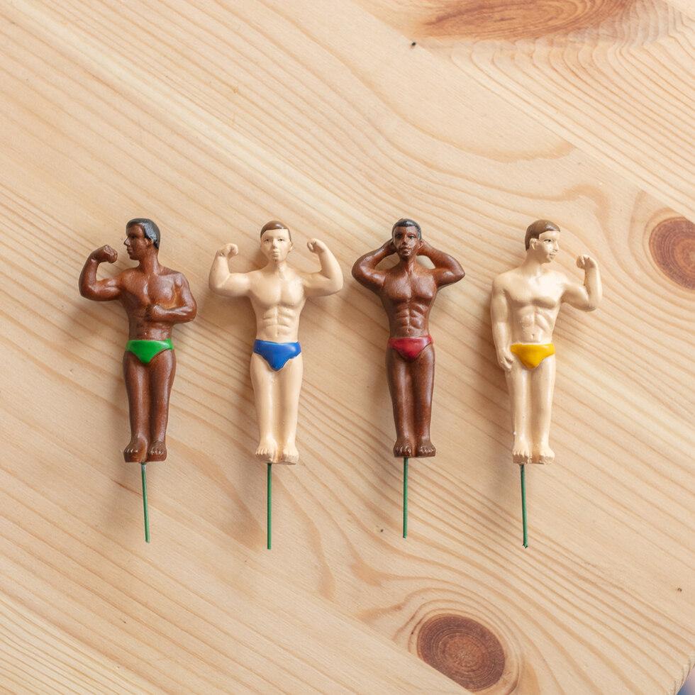 Stud muffin / Hunks / hot dude gnomes plant lover mini statues