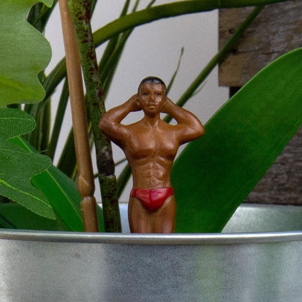 Stud muffin / Hunks / hot dude gnomes plant lover mini statues