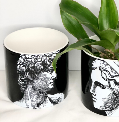 Michelangelo Ancient sculpture line drawing planter pot