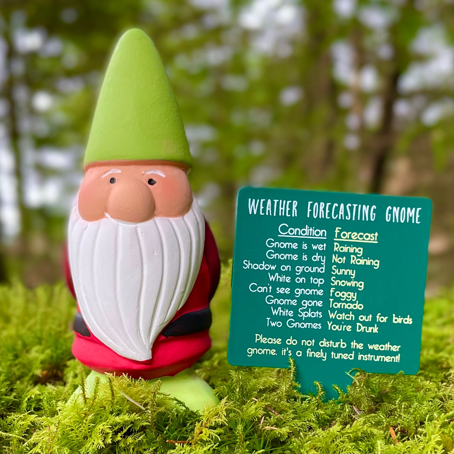 Weather forecaster garden gnome