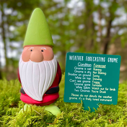 Weather forecaster garden gnome