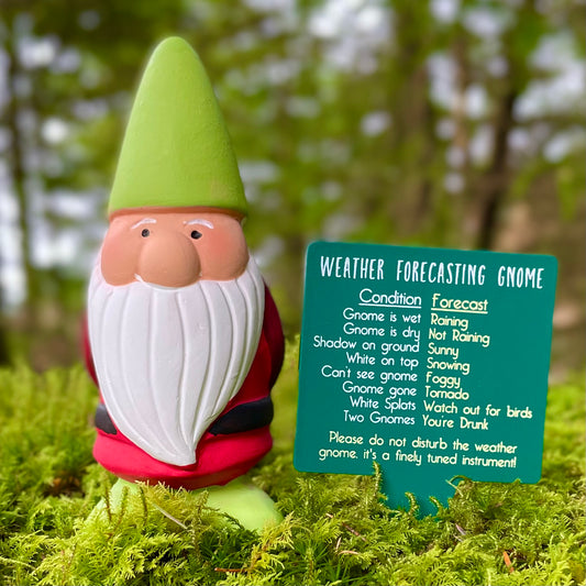 Weather forecaster garden gnome
