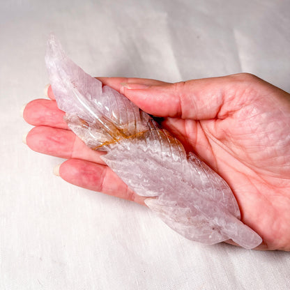 Amethyst Crazy Lace Agate crystal feather carving