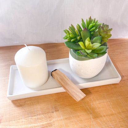 Coastal speckle ceramic planter pot set