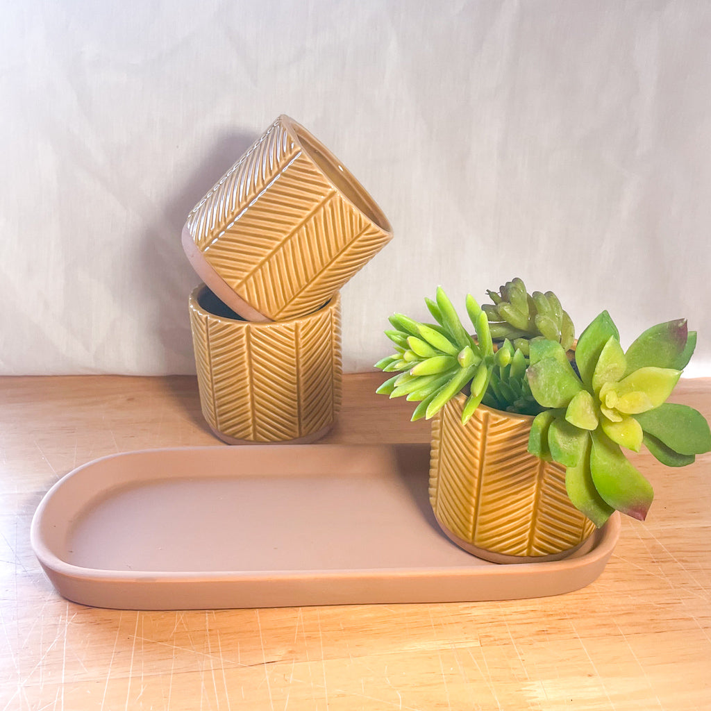 Honey ceramic planter pot - single or set
