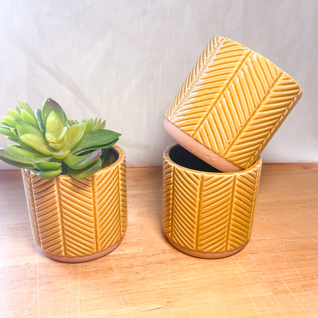 Honey ceramic planter pot - single or set