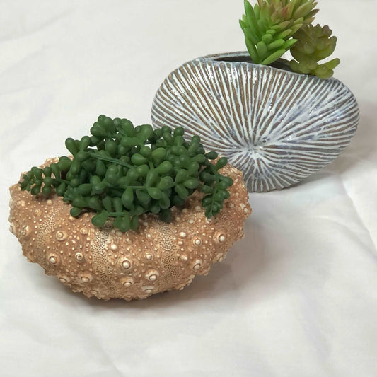 Coastal vibes sea urchin vase