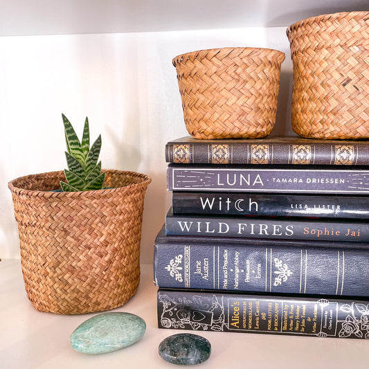 Woven basket planter storage pot set 3