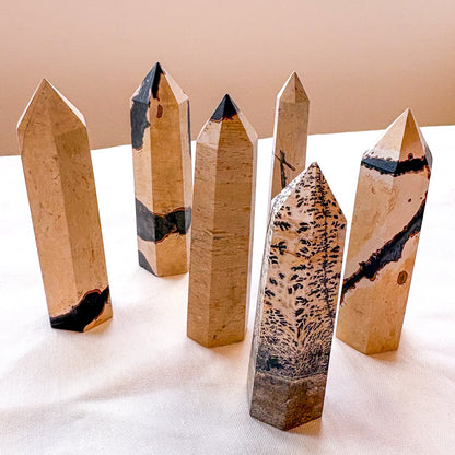 Picture Jasper crystal point tower