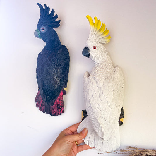Red tail Black cockatoo or Yellow crested cockatoo bird  wall hanging