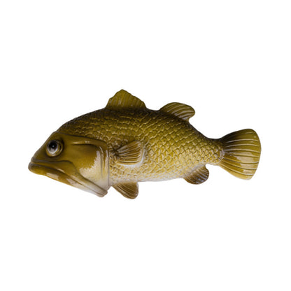 Barra fish novelty bottle opener