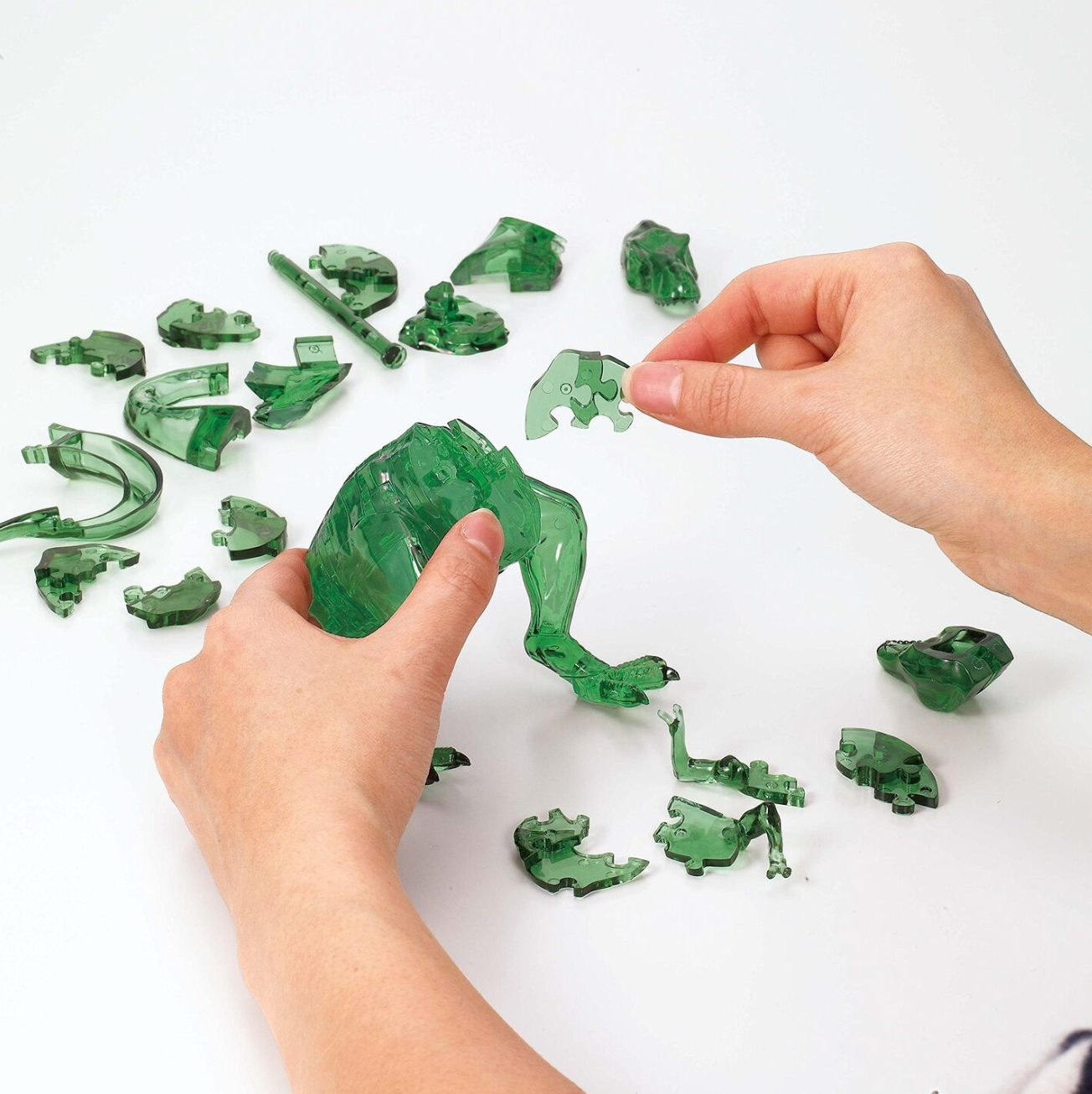 Jurassic park movie TREX dinosaur puzzle game