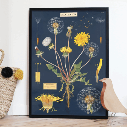 Boho dandelion vintage chart poster print