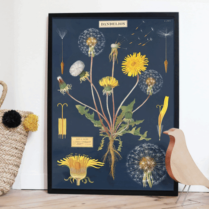 Boho dandelion vintage chart poster print