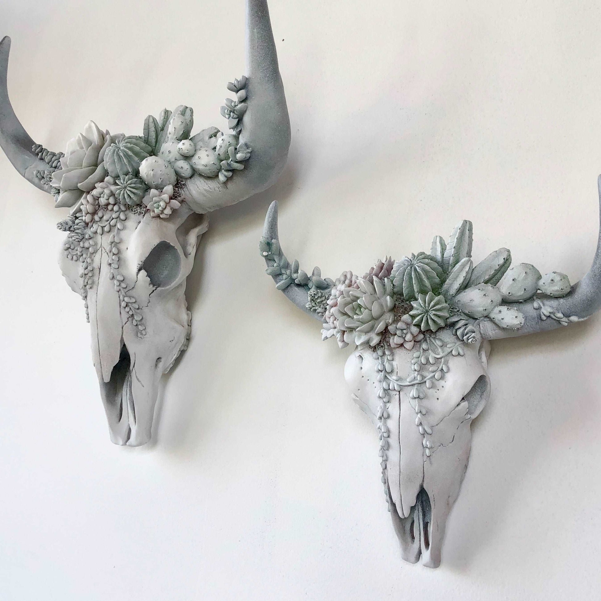 Bohemian succulent crown cow / bull skull wall hanging