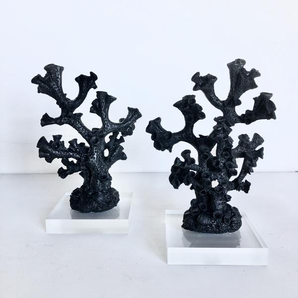 Black Coral statue