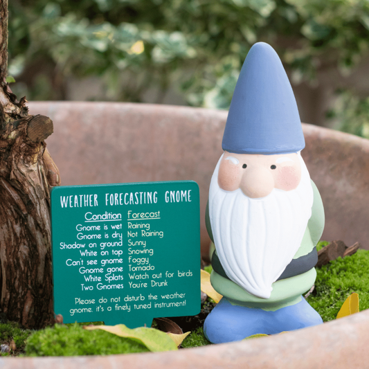 Weather forecaster garden gnome