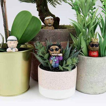 Cheeky Hip hop Rapper gnomes plant lover mini statues