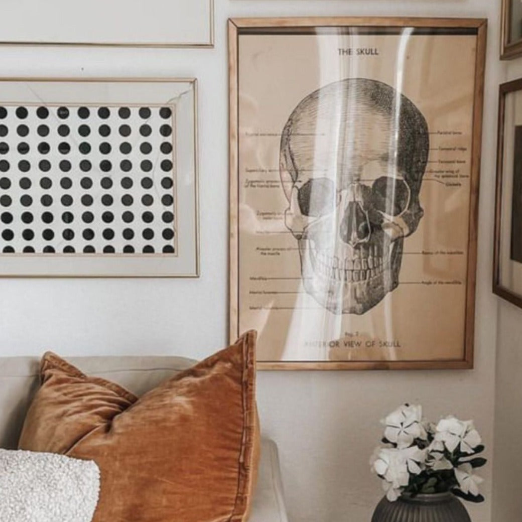 Skull vintage chart poster print