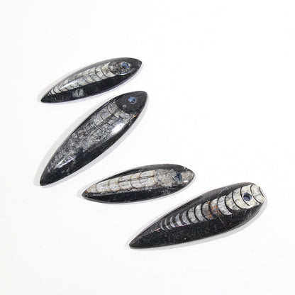 Orthoceras fossil crystal pendant