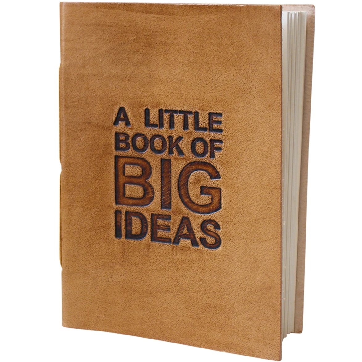 Little book big ideas leather journal / notebook