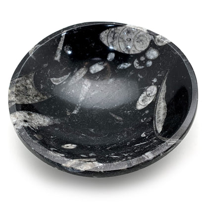 Fossil bowl / crystal carved trinket dish