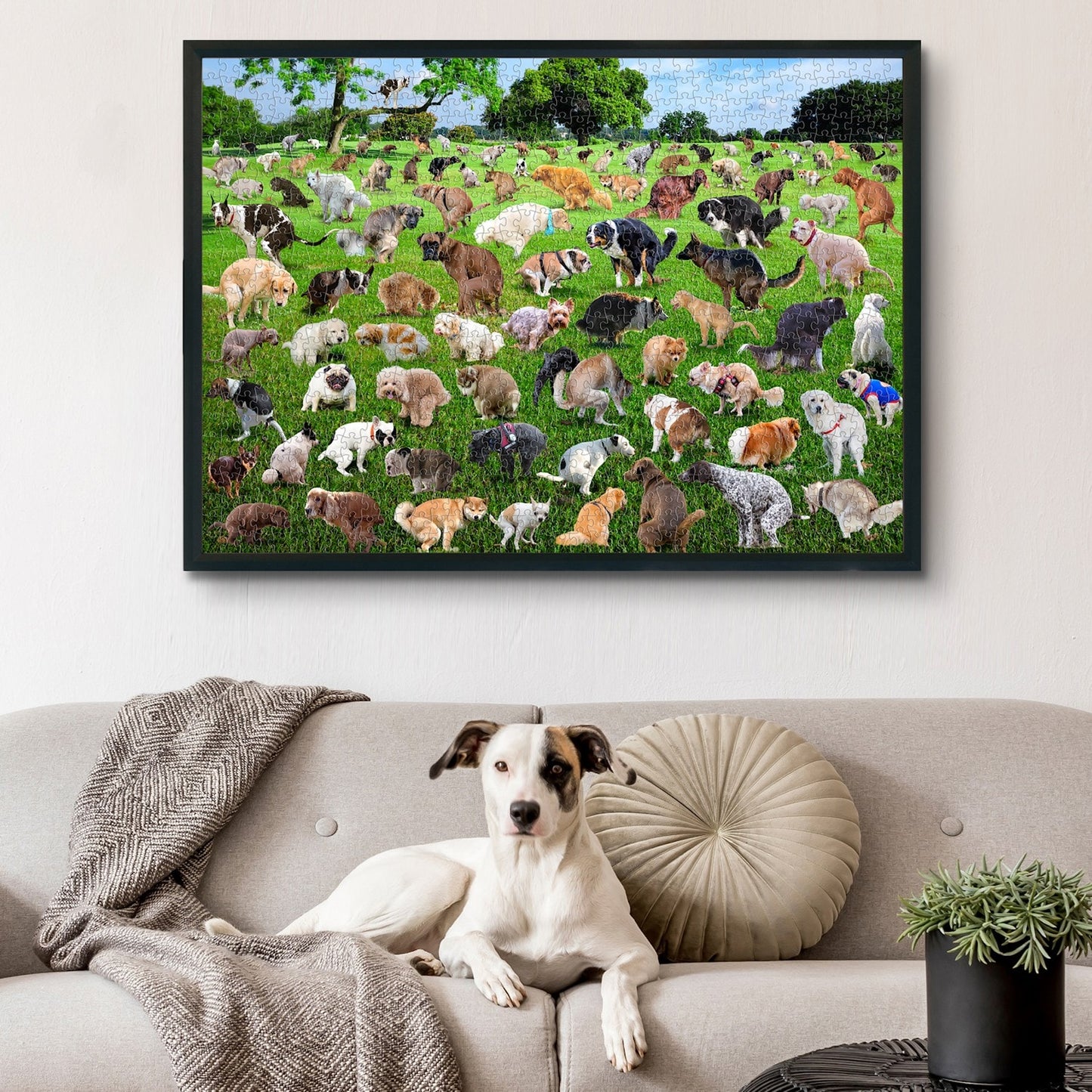Naughty puppy! Does a dog shit on the grass? Jigsaw puzzle game
