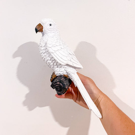 Parrot wall hook