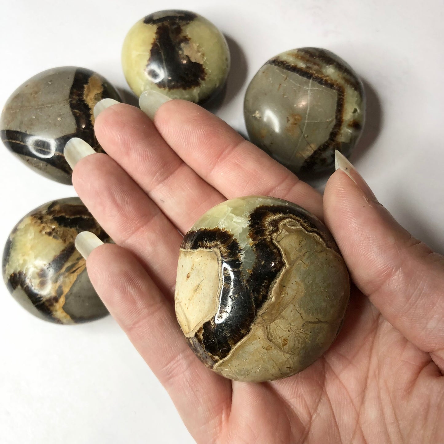 Dragons egg crystal polished palm stone