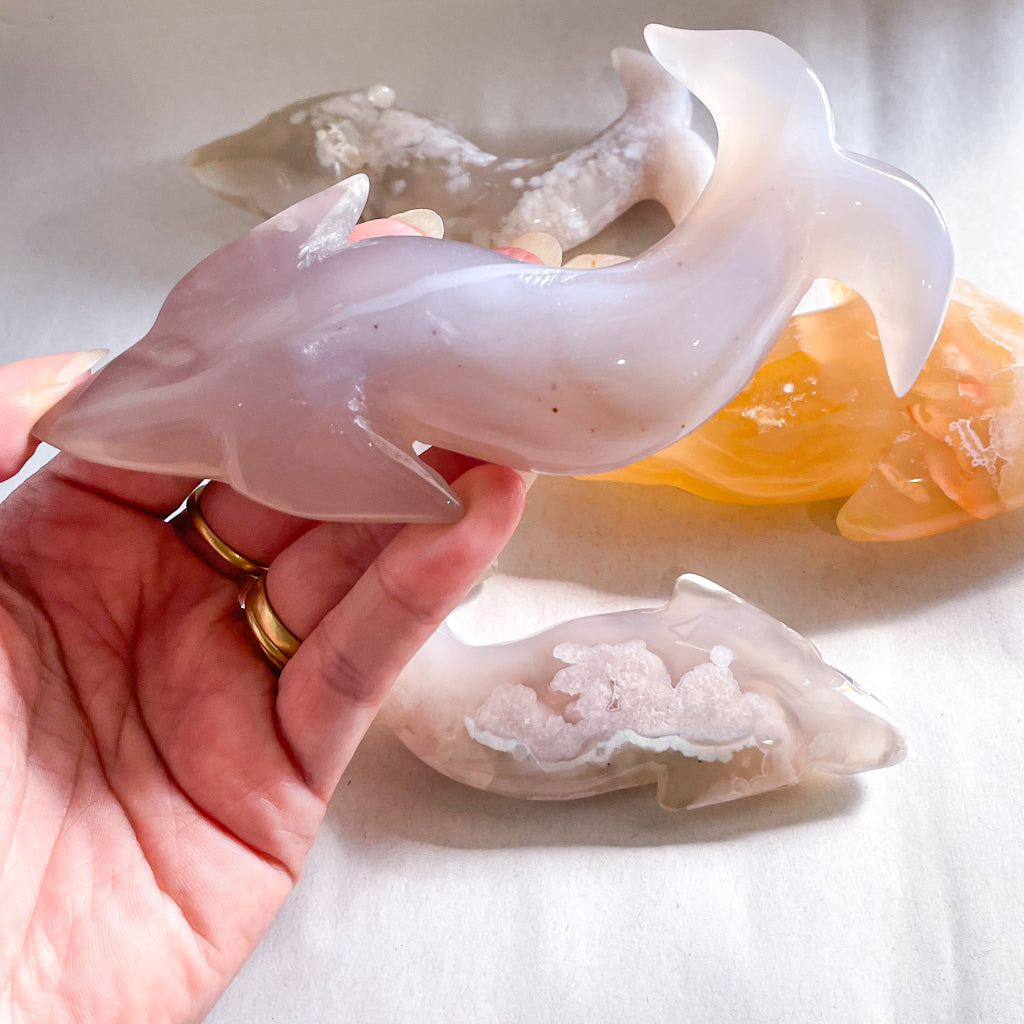 Flower agate crystal carved spirit animal - dolphin