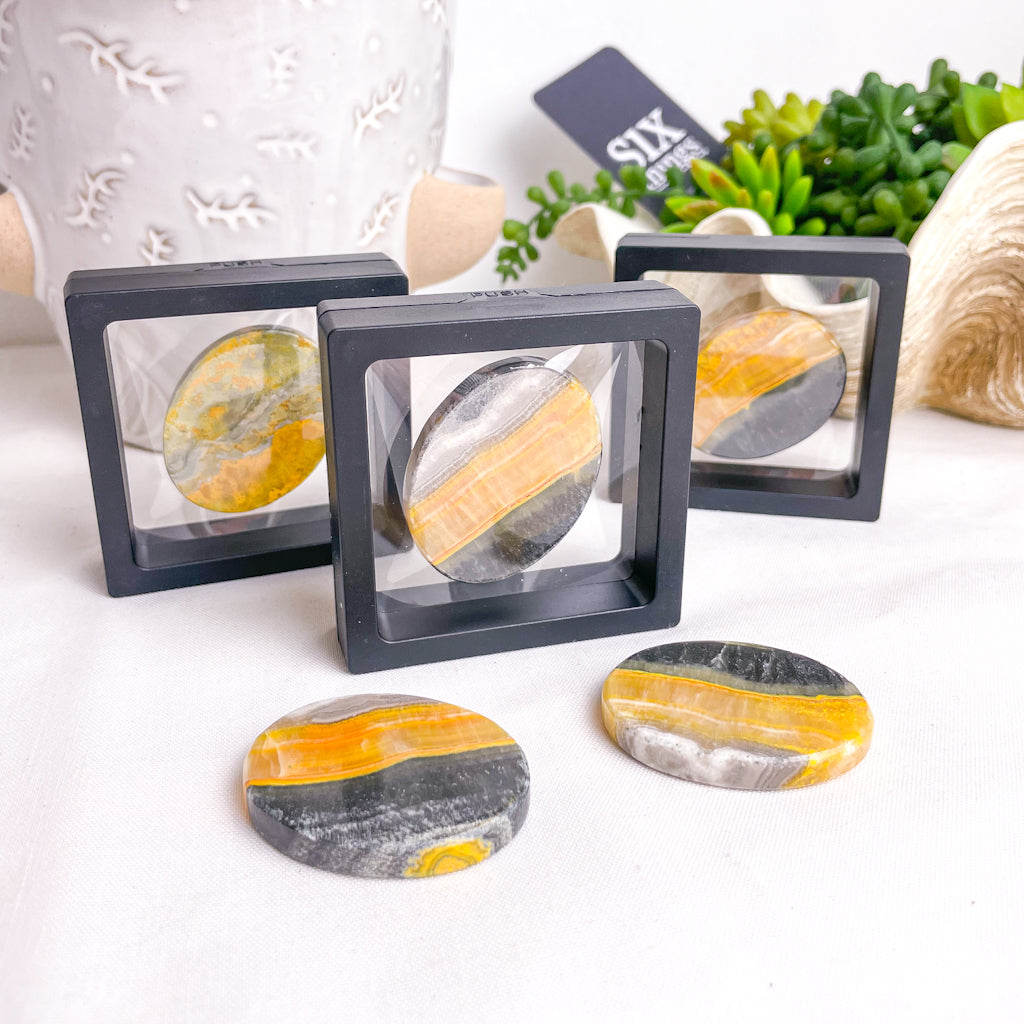 Bumblebee jasper crystal palm stone, coin or tumble