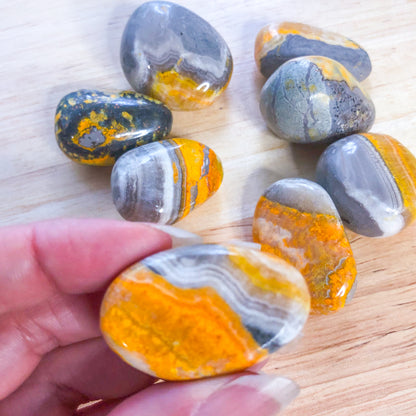 Bumblebee jasper crystal palm stone, coin or tumble