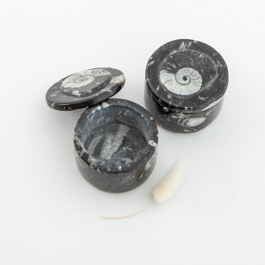 Fossil bowl / crystal carved trinket dish