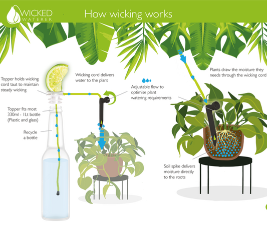 DIY plant watering system / serial plant killer gift
