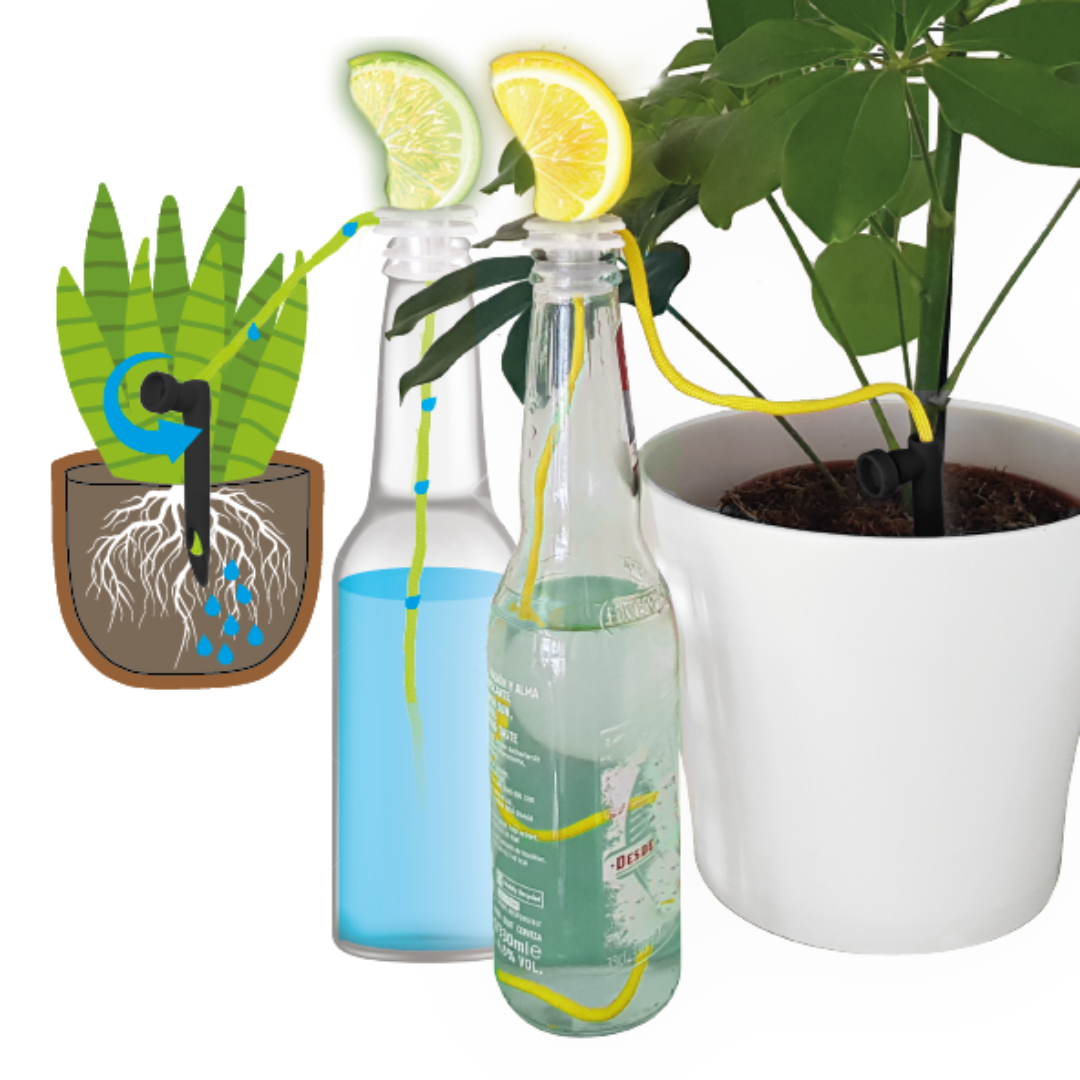 DIY plant watering system / serial plant killer gift