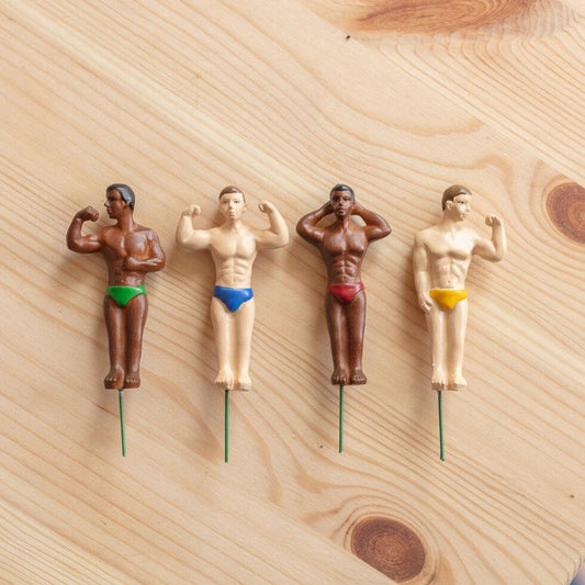 Stud muffin / Hunks / hot dude gnomes plant lover mini statues