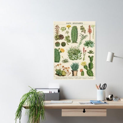 Tropical cactus / succulent vintage chart poster print