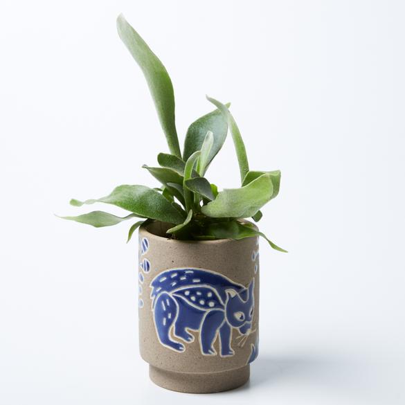 Australian native flora & animal hand made glazed clay plant pot