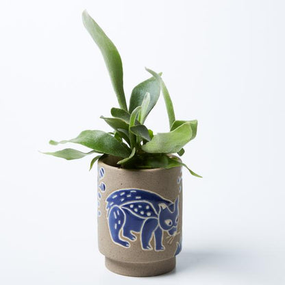 Australian native flora & animal hand made glazed clay plant pot