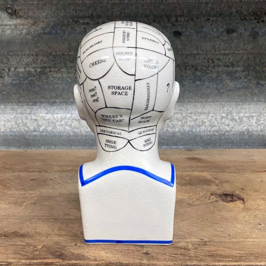 Phrenology head modern style ceramic curious bust statue