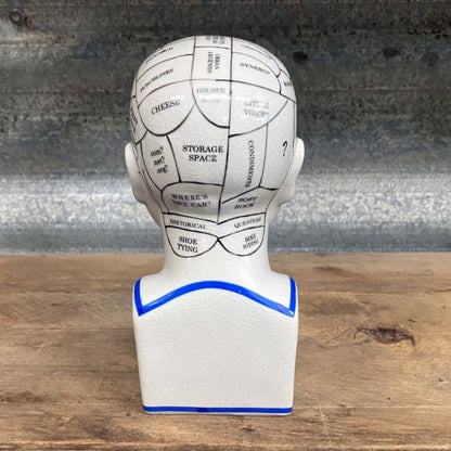 Phrenology head modern style ceramic curious bust statue