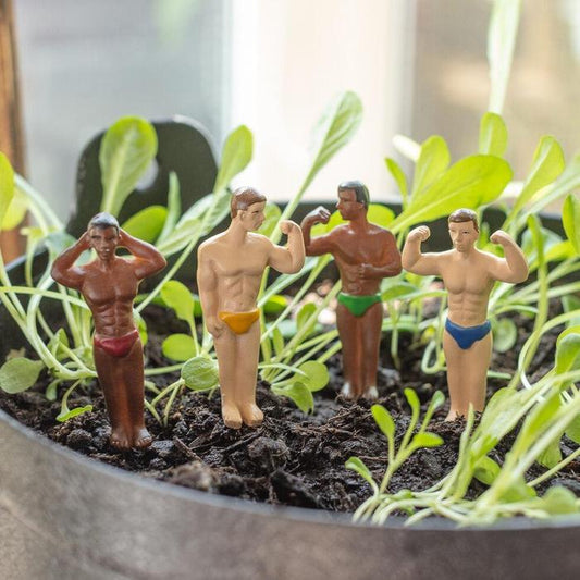 Stud muffin / Hunks / hot dude gnomes plant lover mini statues
